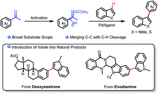 Graphical abstract: C3-Arylation of indoles with aryl ketones via C–C/C–H activations