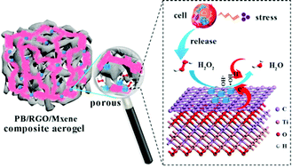Graphical abstract: A Prussian blue-doped RGO/MXene composite aerogel with peroxidase-like activity for real-time monitoring of H2O2 secretion from living cells