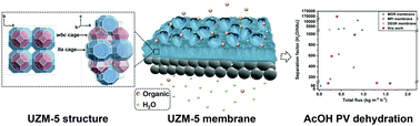Graphical abstract: Rational design and fabrication of a novel acid-resistant UZM-5 zeolite membrane for pervaporation dehydration processes