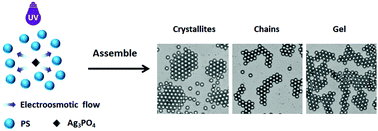 Graphical abstract: Colloidal assembly manipulated by light-responsive Ag3PO4 nanoparticles