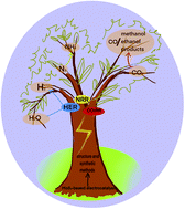 Graphical abstract: Recent advances in MoS2-based materials for electrocatalysis