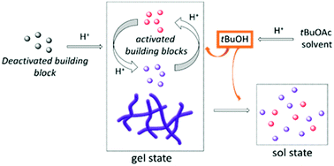 Graphical abstract: Triggering a transient organo-gelation system in a chemically active solvent