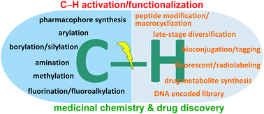 Graphical abstract: The emergence of the C–H functionalization strategy in medicinal chemistry and drug discovery
