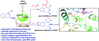 Graphical abstract: Pd-catalysed general access to 7-membered N/O-heterocyclic compounds as potential agents against inflammation