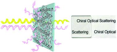 Graphical abstract: Chiral optical scattering from helical and twisted silica nanoribbons