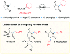 Graphical abstract: Cu-catalyzed C(sp2)–N-bond coupling of boronic acids and cyclic imides