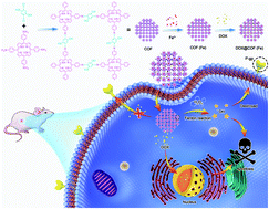 Graphical abstract: Reversing tumor multidrug resistance with a catalytically active covalent organic framework