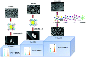 Graphical abstract: Decorated traditional cellulose with nanoscale chiral metal–organic frameworks for enhanced enantioselective capture