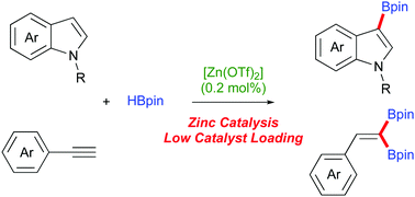 Graphical abstract: Zinc catalysed C3–H borylation of indoles and 1,1-diboration of terminal alkynes