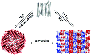 Graphical abstract: Reversible structure transformation between protein nanocages and nanorods controlled by small molecules