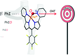 Graphical abstract: Intercepting a transient non-hemic pyridine N-oxide Fe(iii) species involved in OAT reactions