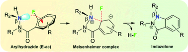 Graphical abstract: nN → π*Ar interactions stabilize the E-ac isomers of arylhydrazides and facilitate their SNAr autocyclizations