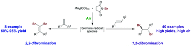 Graphical abstract: Dibrominated addition and substitution of alkenes catalyzed by Mn2(CO)10