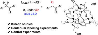 Graphical abstract: Aerobic oxygenation of α-methylene ketones under visible-light catalysed by a CeNi3 complex with a macrocyclic tris(salen)-ligand