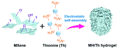 Graphical abstract: Fast assembly of MXene hydrogels by interfacial electrostatic interaction for supercapacitors