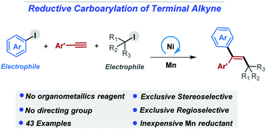Graphical abstract: Reductive Ni-catalysis for stereoselective carboarylation of terminal aryl alkynes