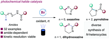 Graphical abstract: Visible light bromide catalysis for oxazoline, pyrrolidine, and dihydrooxazine syntheses via Csp3–H functionalizations
