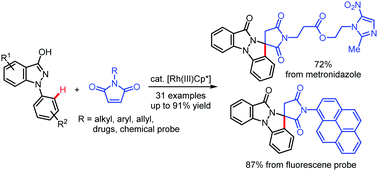 Graphical abstract: Synthesis of spirosuccinimides via annulative cyclization between N-aryl indazolols and maleimides under rhodium(iii) catalysis