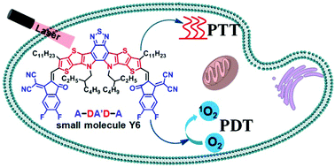 Graphical abstract: A–DA′D–A fused-ring small molecule-based nanoparticles for combined photothermal and photodynamic therapy of cancer