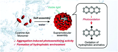 Graphical abstract: A cyanine dye based supramolecular photosensitizer enabling visible-light-driven organic reaction in water