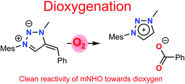 Graphical abstract: Dioxygenation of unprotected mesoionic N-heterocyclic olefins