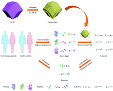 Graphical abstract: Probing serum N-glycan patterns for rapid and precise detection of Crohn's disease