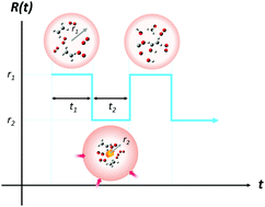 Graphical abstract: A combined DFTB nanoreactor and reaction network generator approach for the mechanism of hydrocarbon combustion