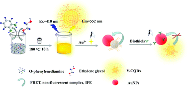 Graphical abstract: A yellow-emitting carbon quantum dot-based fluorescent logic gate for the continuous detection of Au3+ and biothiols