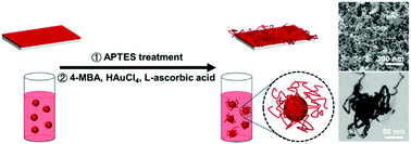 Graphical abstract: Synthesis of substrate-bound seaweed-like Au nanowires with amino silane coupling agents