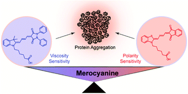 Graphical abstract: Derivatizing merocyanine dyes to balance their polarity and viscosity sensitivities for protein aggregation detection