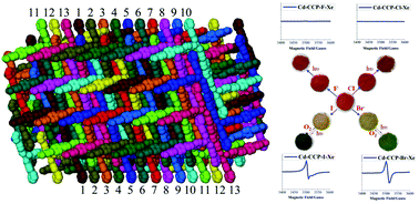 Graphical abstract: Cationic coordination polymers with thirteen-fold interpenetrating dia networks: selective coloration and ion-controlled photochromism