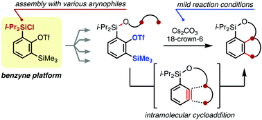 Graphical abstract: 2-(Chlorodiisopropylsilyl)-6-(trimethylsilyl)phenyl triflate: a modified platform for intramolecular benzyne cycloadditions