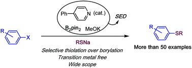 Graphical abstract: Coupling of thiols and aromatic halides promoted by diboron derived super electron donors