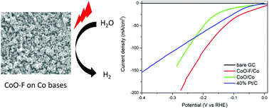 Graphical abstract: Fluoride-incorporated cobalt-based electrocatalyst towards enhanced hydrogen evolution reaction