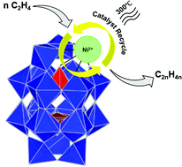 Graphical abstract: Ethylene oligomerization on Ni2+ single sites within lacunary defects of Wells Dawson polyoxometalates