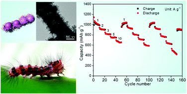 Graphical abstract: A novel “caterpillar with eggs” mesostructured iron sulfide as an anode for a Li-ion battery displaying stable electrochemical performance