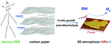 Graphical abstract: 2D amorphous bi-metallic NiFe nitrides for a high-efficiency oxygen evolution reaction