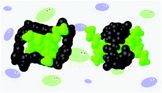 Graphical abstract: Di-anionic self-associating supramolecular amphiphiles (SSAs) as antimicrobial agents against MRSA and Escherichia coli