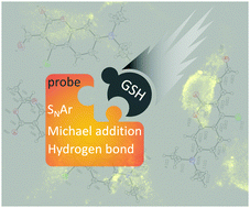 Graphical abstract: Host–guest type multiple site fluorescent probe for GSH detection in living organisms