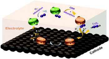 Graphical abstract: Revealing the catalytic pathway of a quinone-mediated oxygen reduction reaction in aprotic Li–O2 batteries