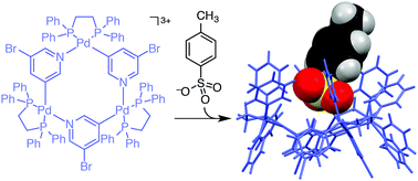 Graphical abstract: Preparation of tricationic tris(pyridylpalladium(ii)) metallacyclophane as an anion receptor