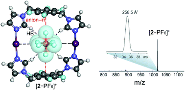 Graphical abstract: Macrocyclic complexes based on [N⋯I⋯N]+ halogen bonds