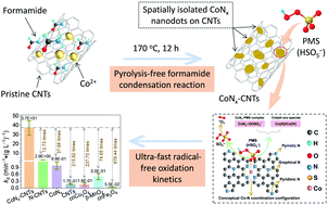 Graphical abstract: Spatially isolated CoNx quantum dots on carbon nanotubes enable a robust radical-free Fenton-like process