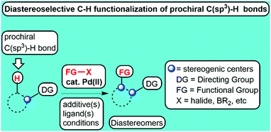 Graphical abstract: Diastereoselective palladium-catalyzed functionalization of prochiral C(sp3)–H bonds of aliphatic and alicyclic compounds
