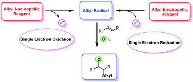 Graphical abstract: Three-component 1,2-dicarbofunctionalization of alkenes involving alkyl radicals