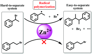 Graphical abstract: Reactive separation of β-bromoethylbenzene from α-β-bromoethylbenzene mixtures: a Zn2+-mediated radical polymerization mechanism