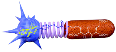 Graphical abstract: Prostate-specific membrane antigen (PSMA) targeted singlet oxygen delivery via endoperoxide tethered ligands