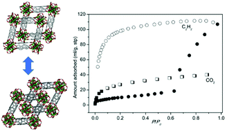 Graphical abstract: Design of a MOF based on octa-nuclear zinc clusters realizing both thermal stability and structural flexibility