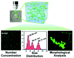 Graphical abstract: Characterization of nanoparticles using coupled gel immobilization and label-free optical imaging