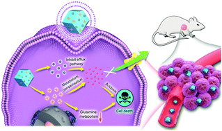 Graphical abstract: A biomimetic ZIF nanoagent for synergistic regulation of glutamine metabolism and intracellular acidosis of cancer